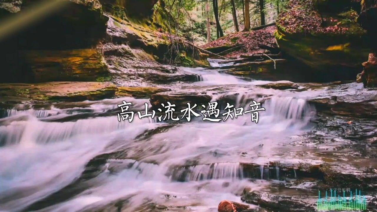 梦幻糖果森林逃生